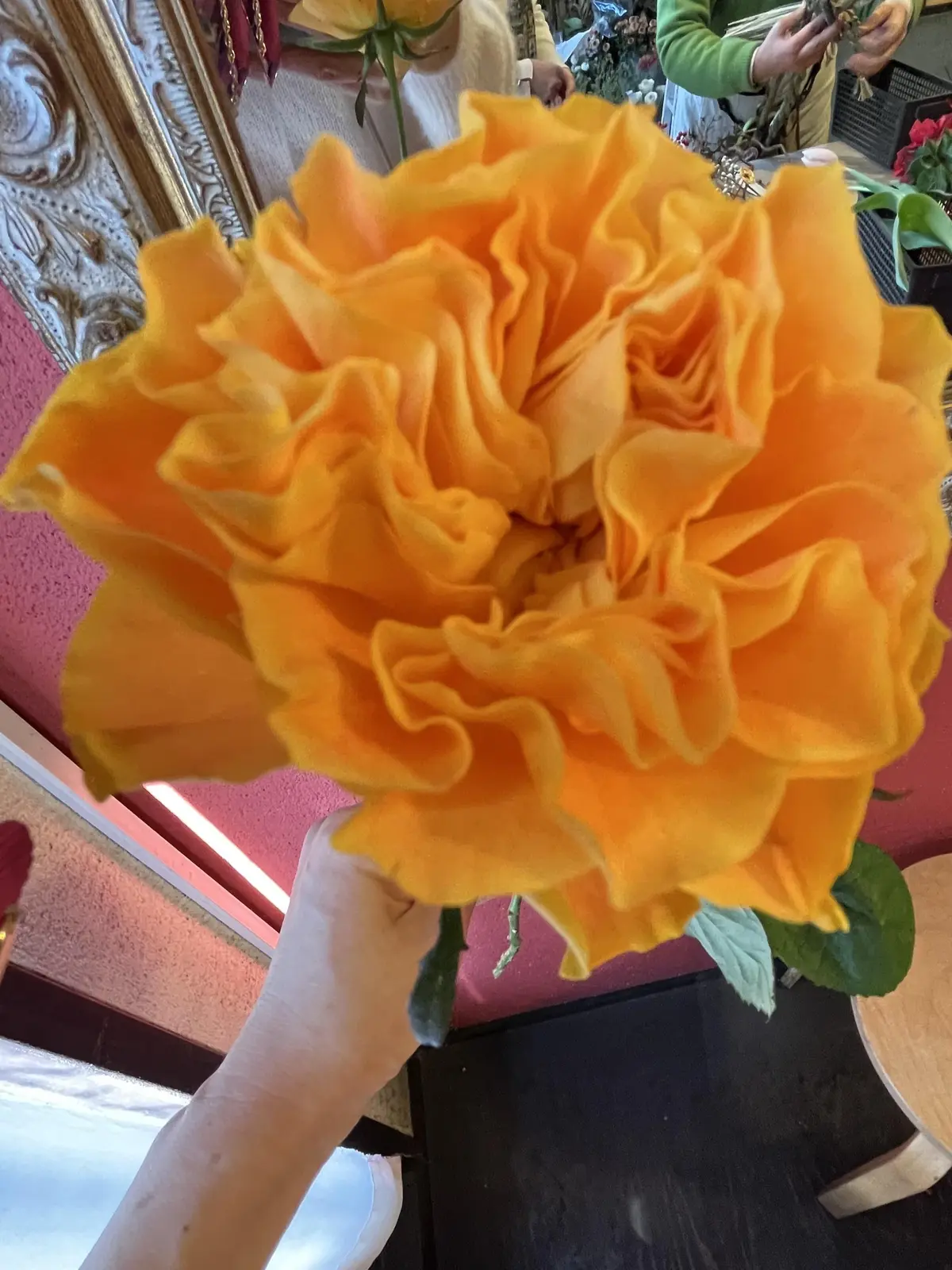 2023年が終わりますねの画像_7