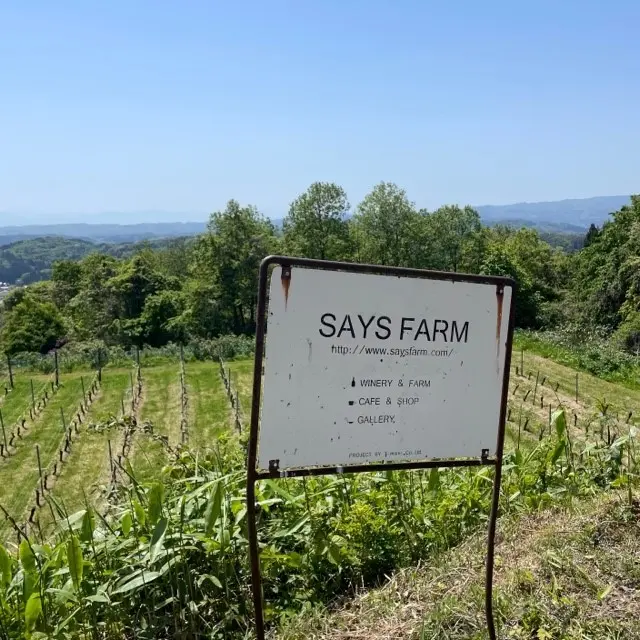 富山県氷見市にあるワイナリー「セイズファーム」の看板