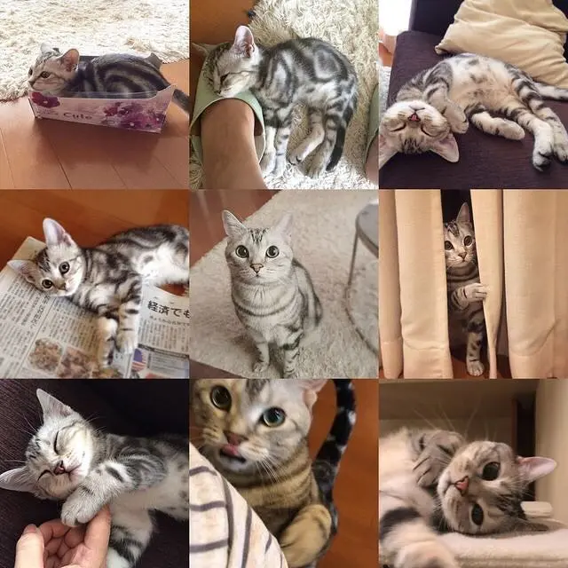 2018 best moments の画像_1