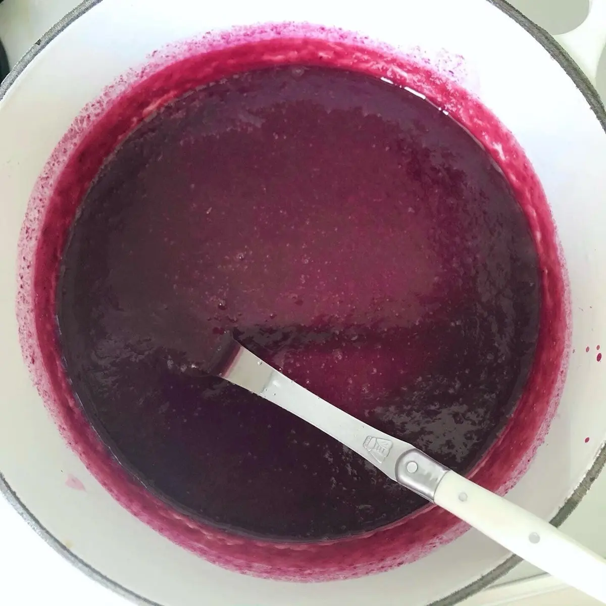 ジューンベリー収穫祭！の画像_4