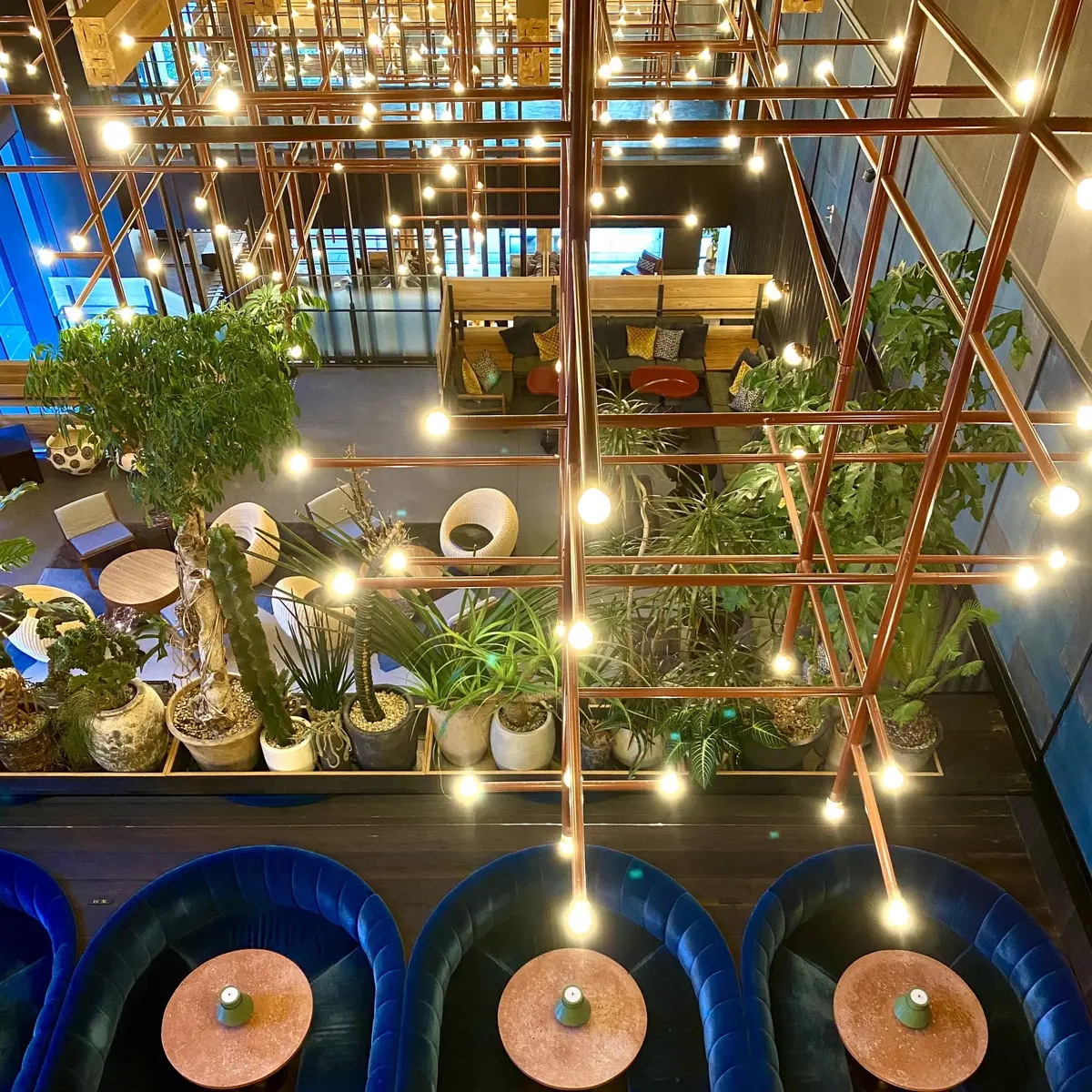 「エースホテル京都」、レストラン、タコスラウンジ「ピオピコ」