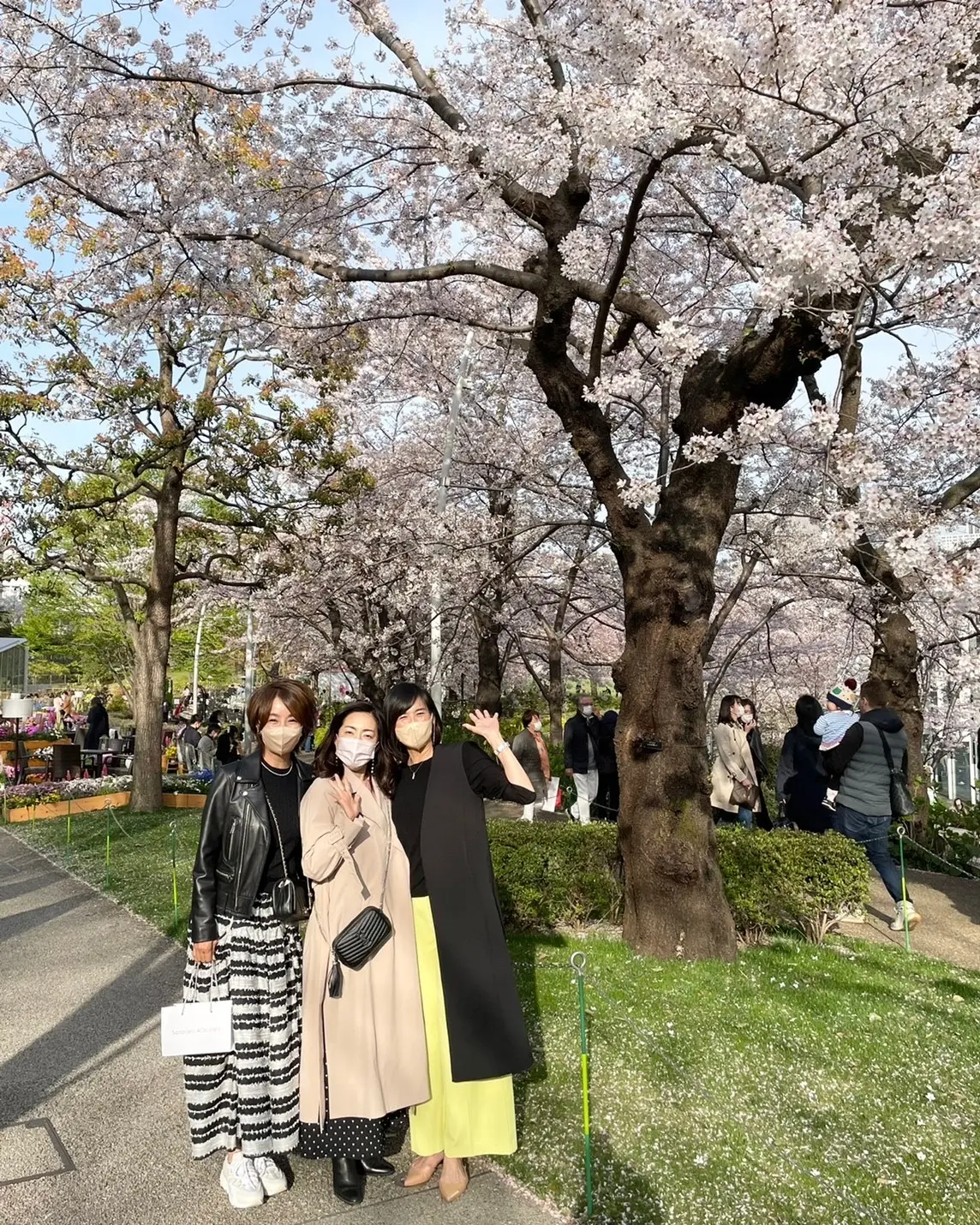 きれい色ブラウスを着て東京ミッドタウンでの画像_1