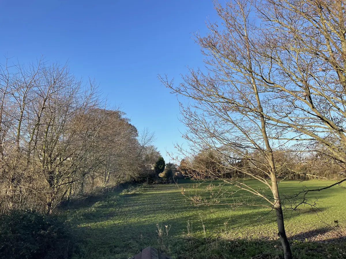 数年ぶりにイギリスに住む家族に会いに来まの画像_1