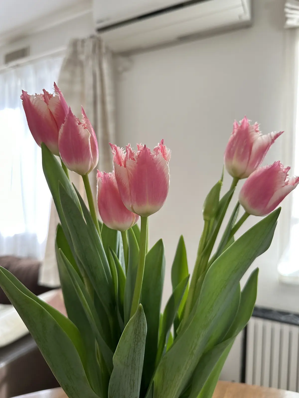 食べ過ぎた次の日に頂く私のデトックススーの画像_5