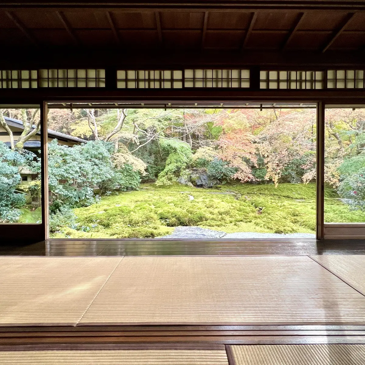 秋の景色を楽しむ♡京都の紅葉の画像_10