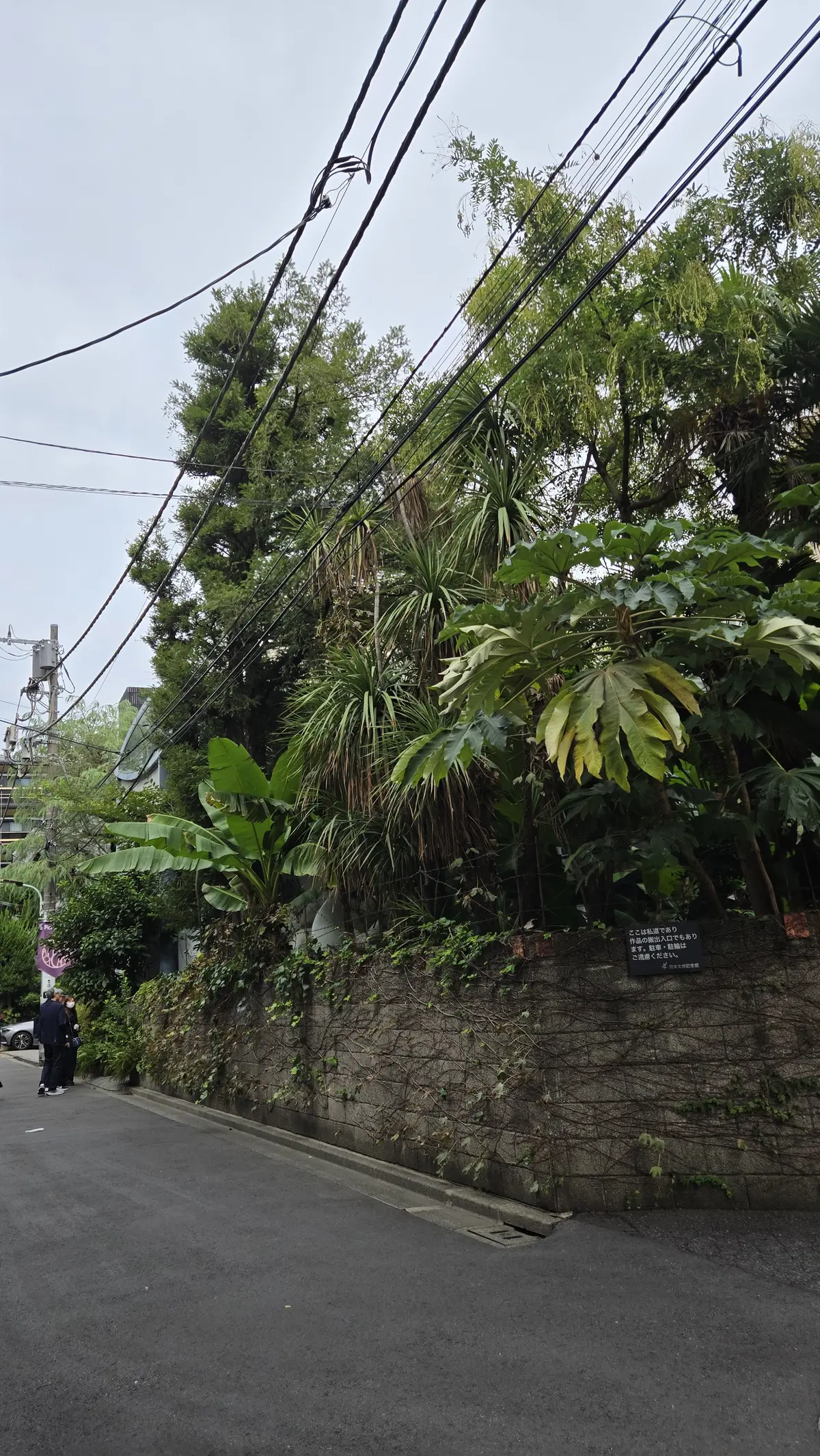 家族で感じる「岡本太郎」—芸術は爆発だ！の画像_2