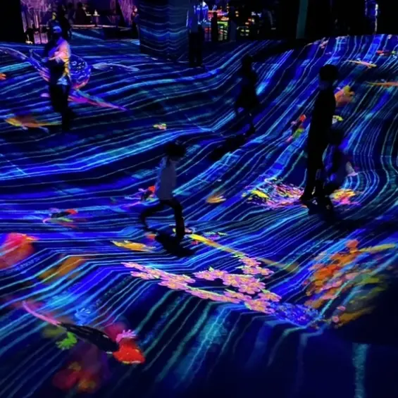 デジタルアート ミュージアム お台場✨「の画像_2