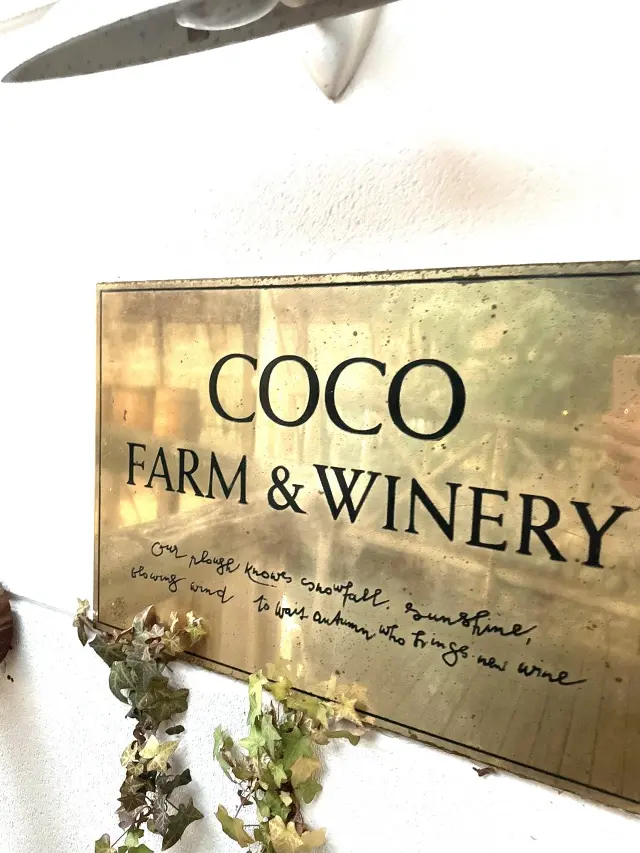 時間に追われない休日にココファームワイナの画像_12