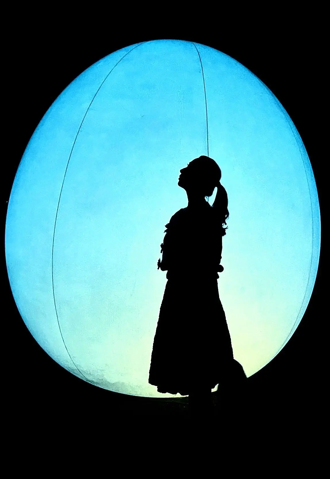 幻想的な夜✨✨　チームラボ　ボタニカルガの画像_12