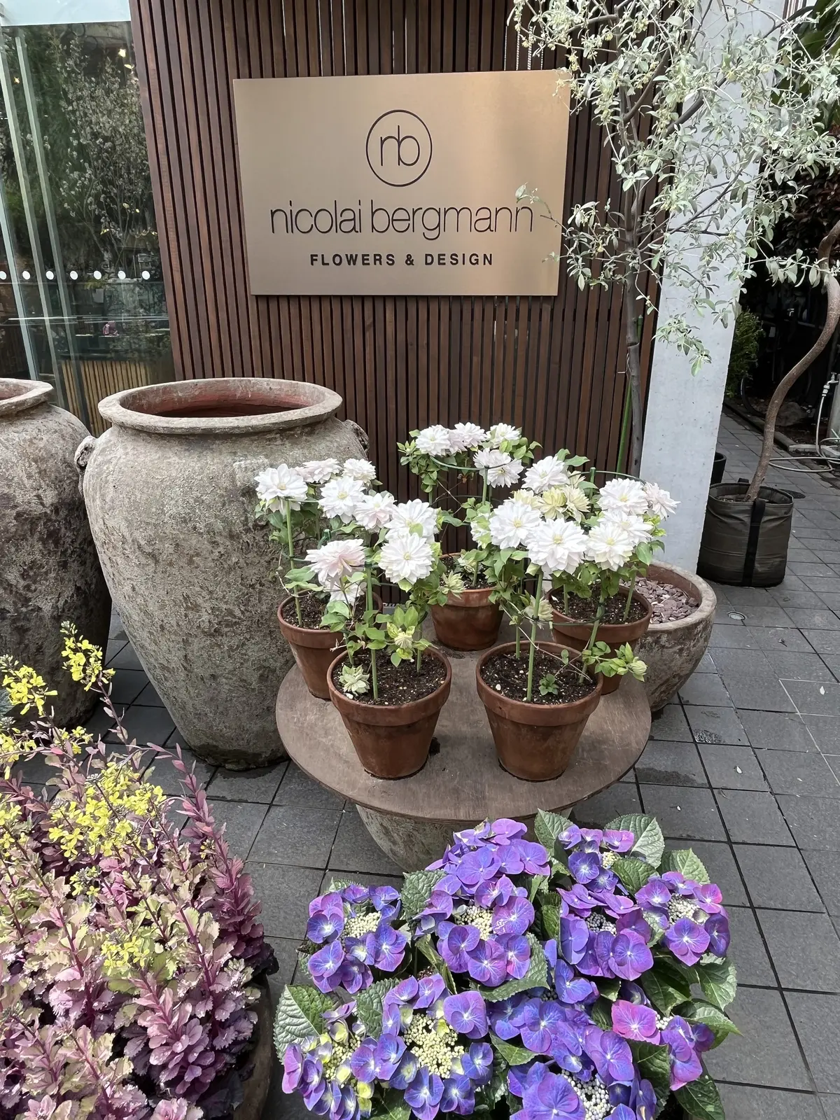 早起きをして朝活への画像_10