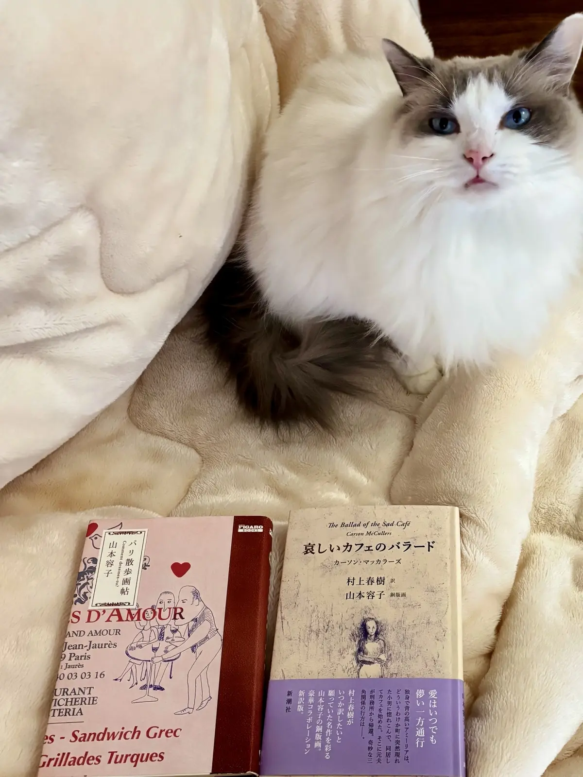 『パリ散策画帖』と『哀しいカフェのバラード』と猫（上の子）