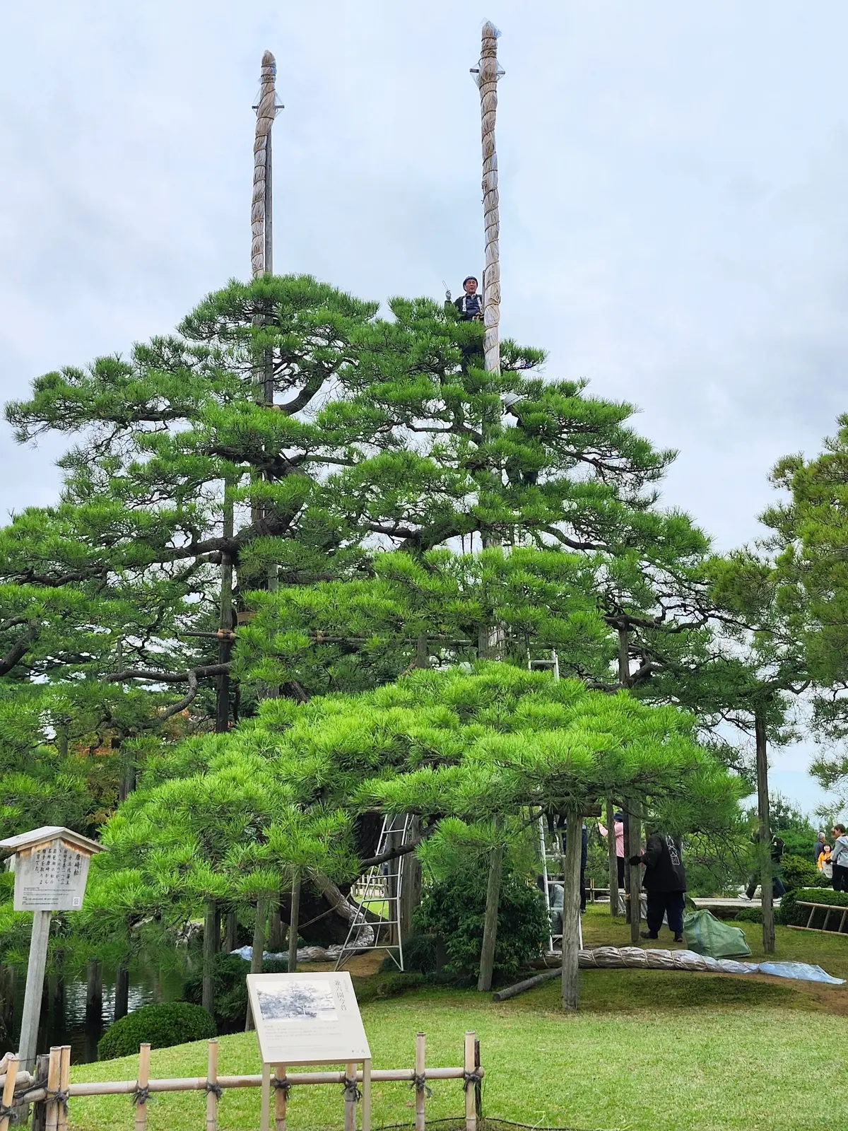 女子旅、金沢、金沢旅行、秋の金沢、40代ファッション、旅コーデ、加賀料理、21世紀美術館、御朱印　神社、金沢カフェ、茶屋街
