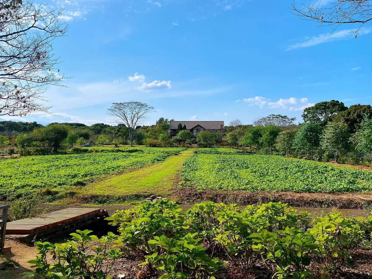 九州旅行　〜別府・美しい大神ファーム〜の画像_22