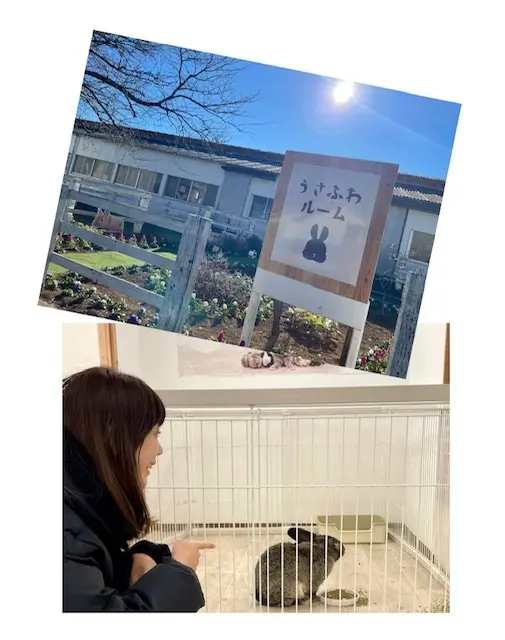 2025年　初おでかけは、成田ゆめ牧場への画像_2