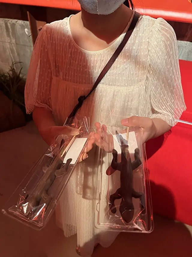 イモリの形のチョコレート