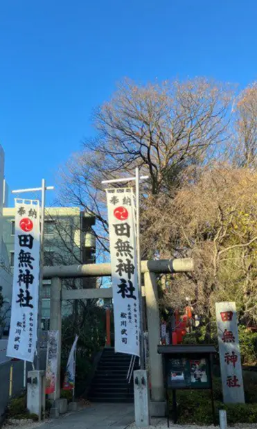 初詣　龍　田無神社　干支　辰年　龍神　年末詣　幸先詣　五龍神　初詣　2024初詣　エクラブログ　jマダム