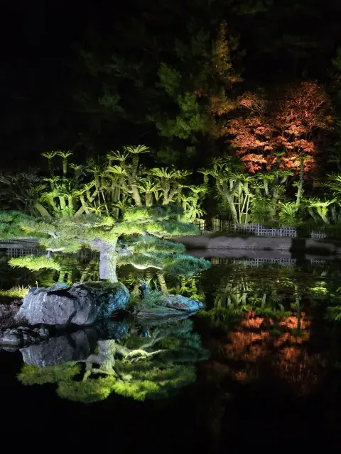 栗林公園ライトアップの画像_8