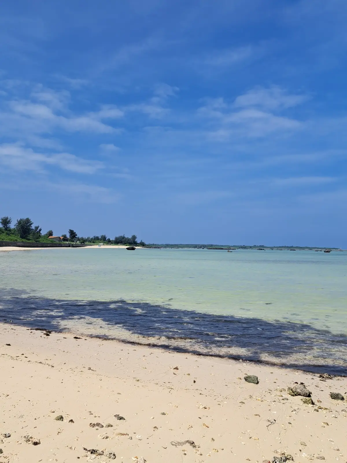 3度目の伊良部島の夏の画像_10