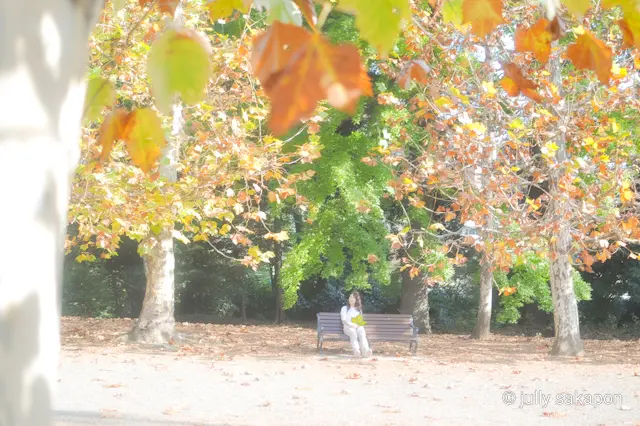 【さかぽんの冒険】プラタナス並木で ほっの画像_18