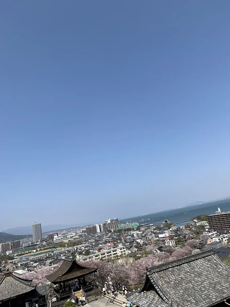 琵琶湖大津へお花見ドライブの画像_5