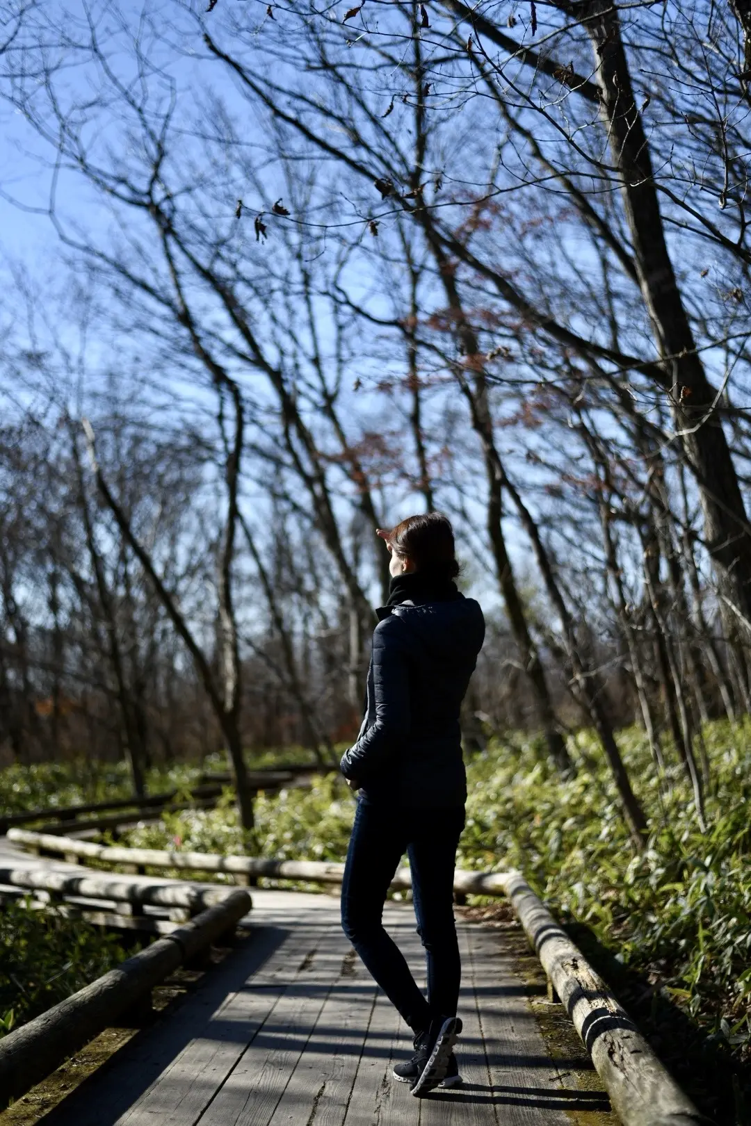 那須高原を東奔西走とおまけに仙台への画像_20