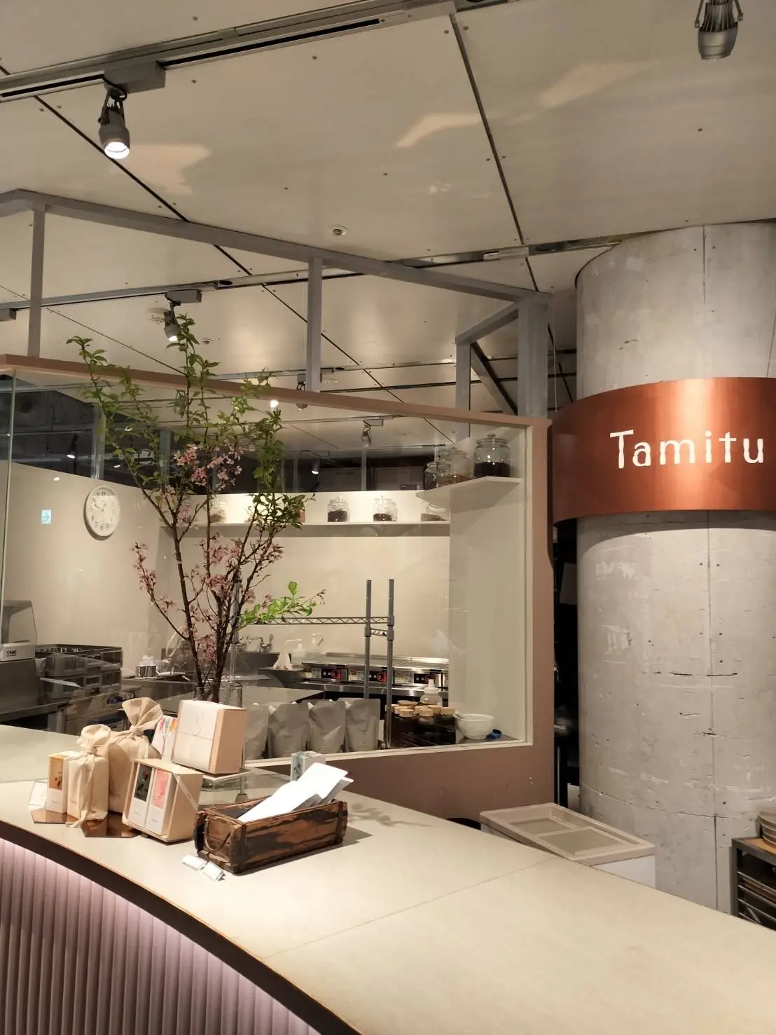 表参道、代々木公園あいにくのお天気で桜をの画像_1