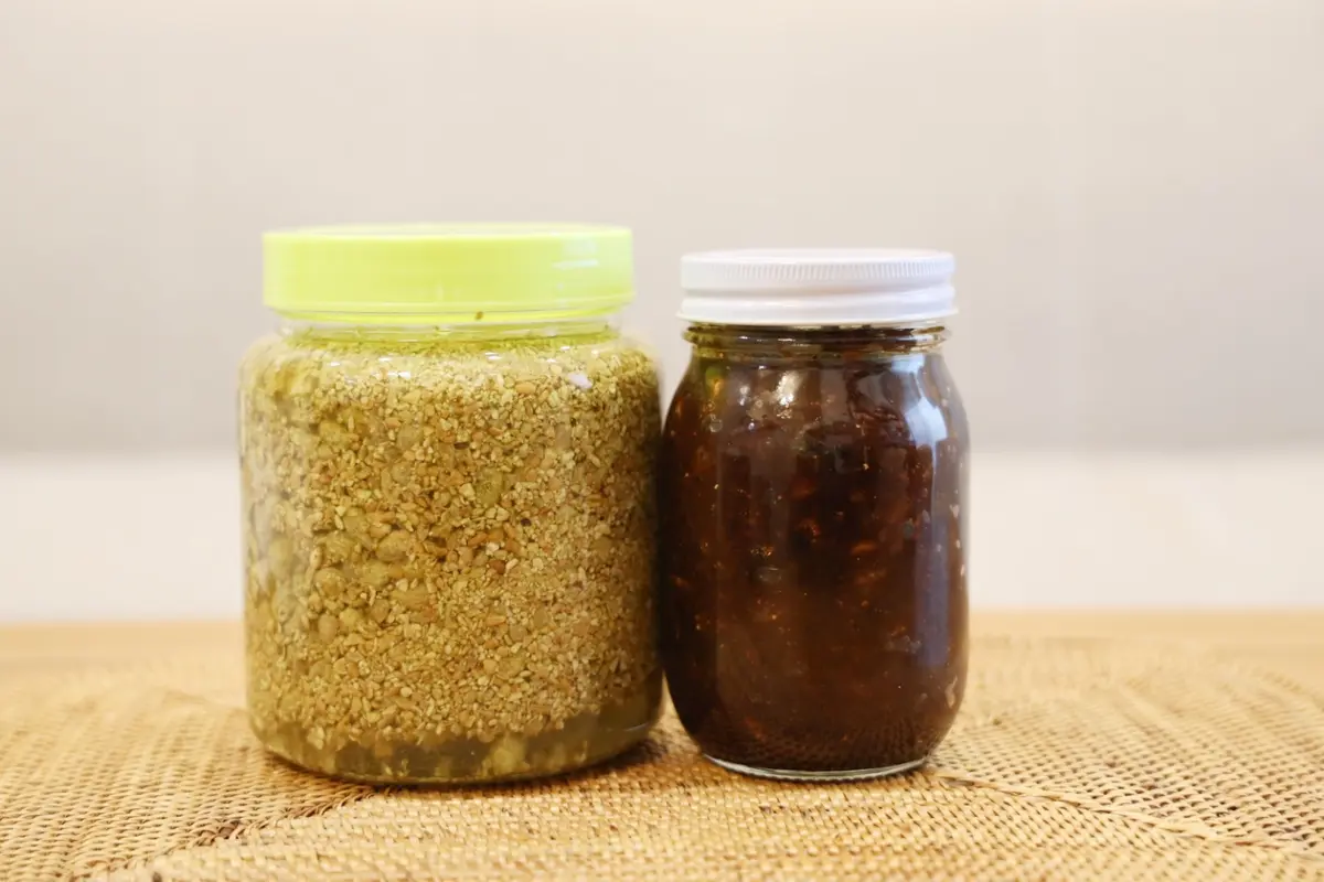 手作りの発酵調味料で、毎日の食事を簡単美の画像_4