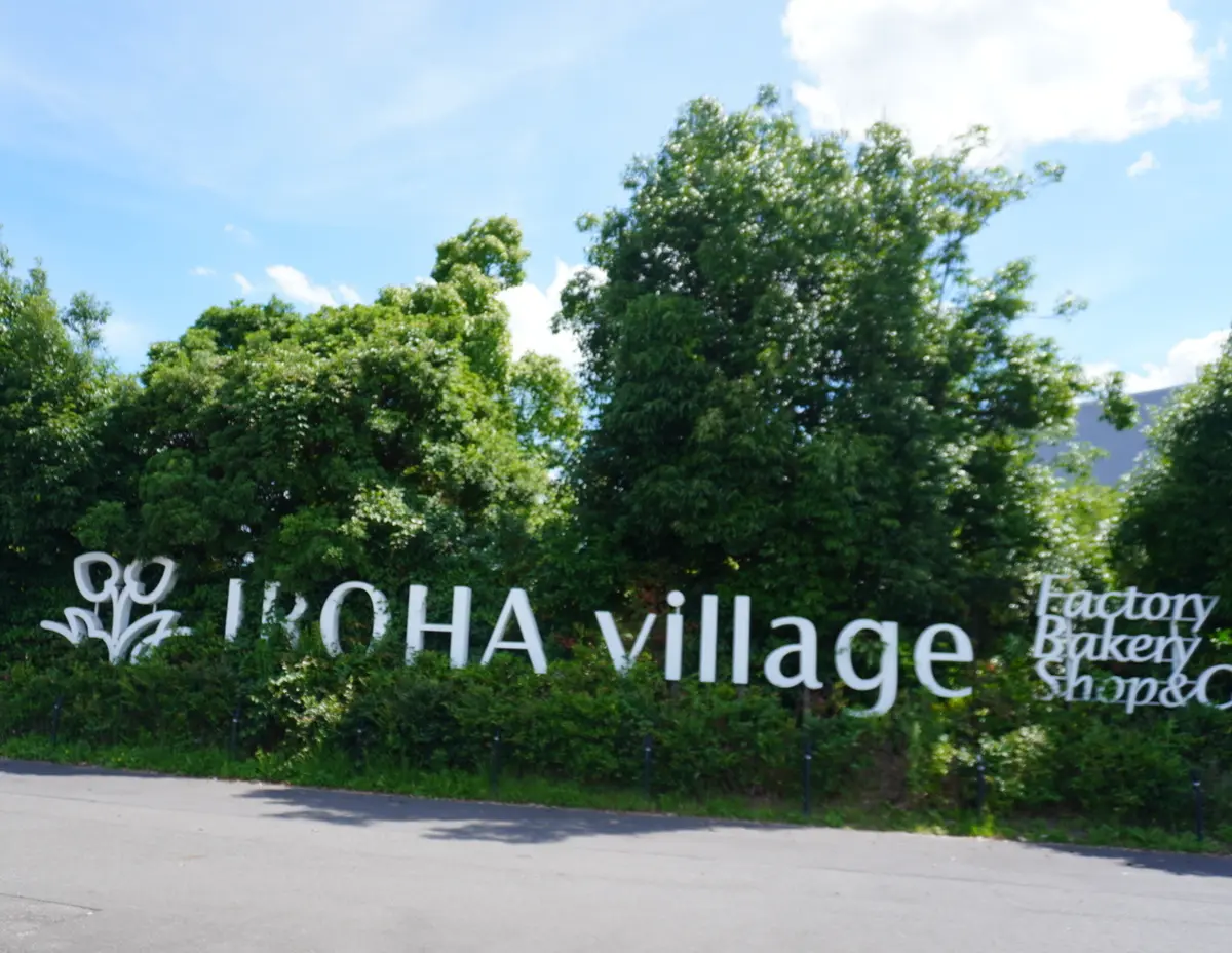 心身共に優しい癒しのスポットで爽やか夏デの画像_1