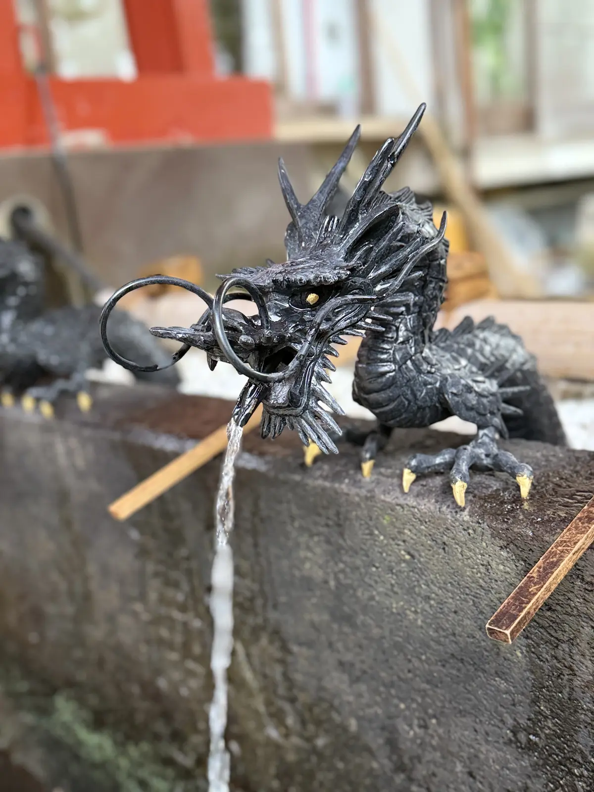 石川県　金沢市　金沢観光　石川県立図書館　水みくじ　建築美　金澤神社　金沢神社　石浦神社　神社巡り　白蛇龍神　白蛇　金沢観光スポット　