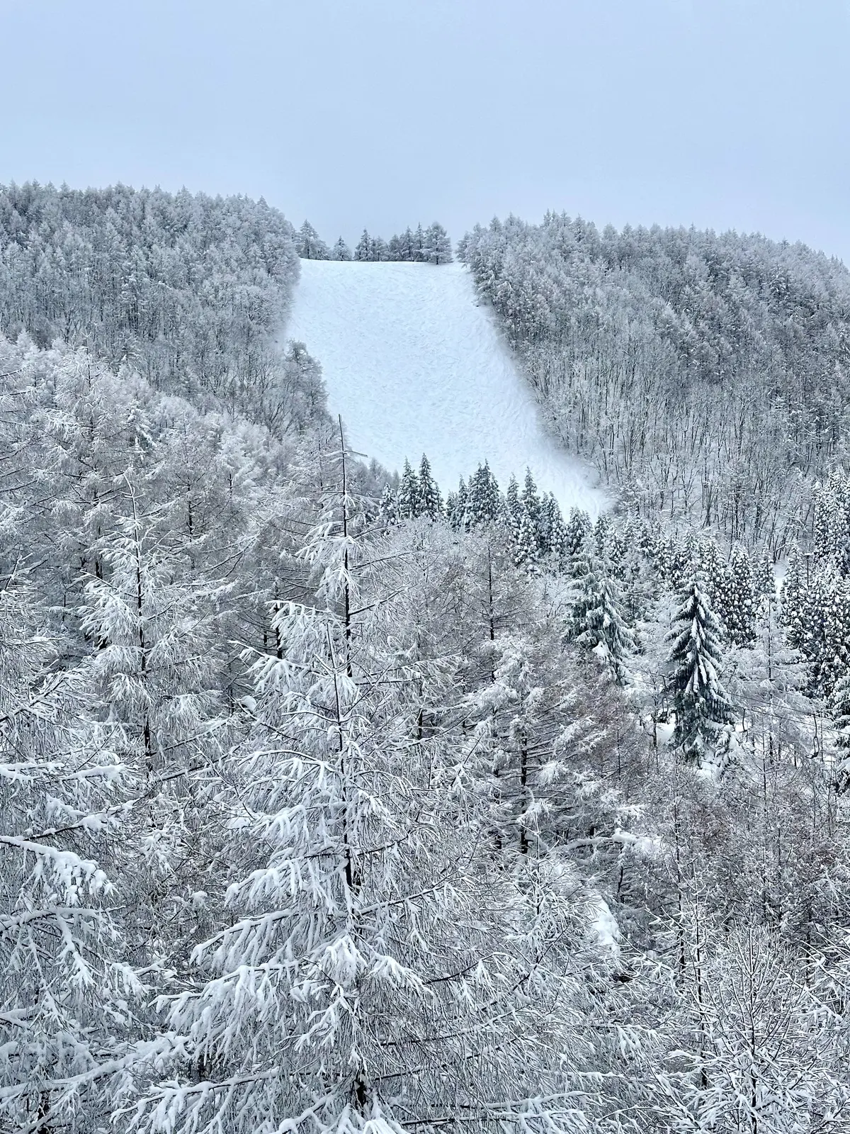樹氷と美肌の湯を楽しむ♡山形県蔵王への旅の画像_34
