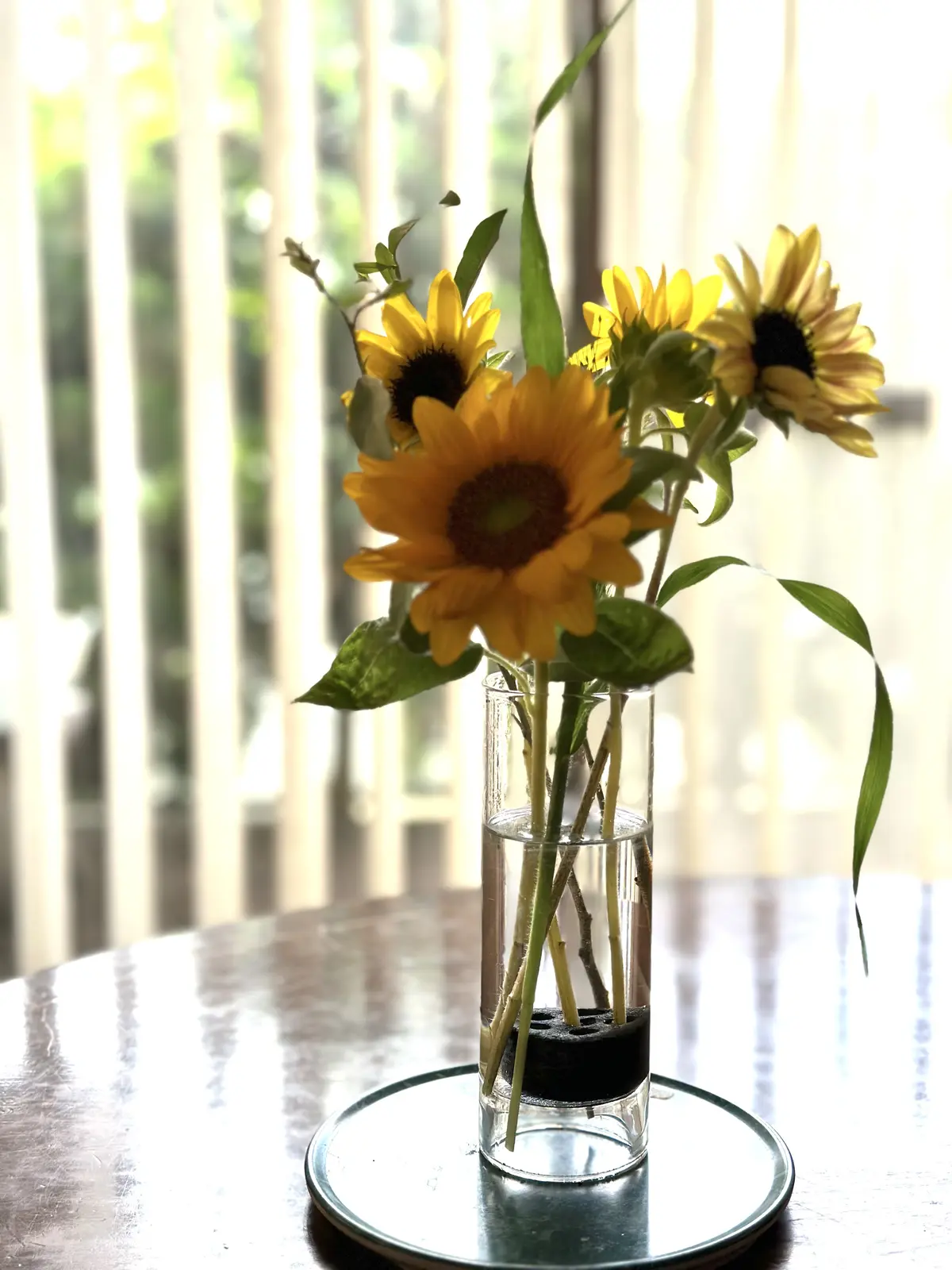 愛しのピーチメルバ2023🍑〜@BENOの画像_16