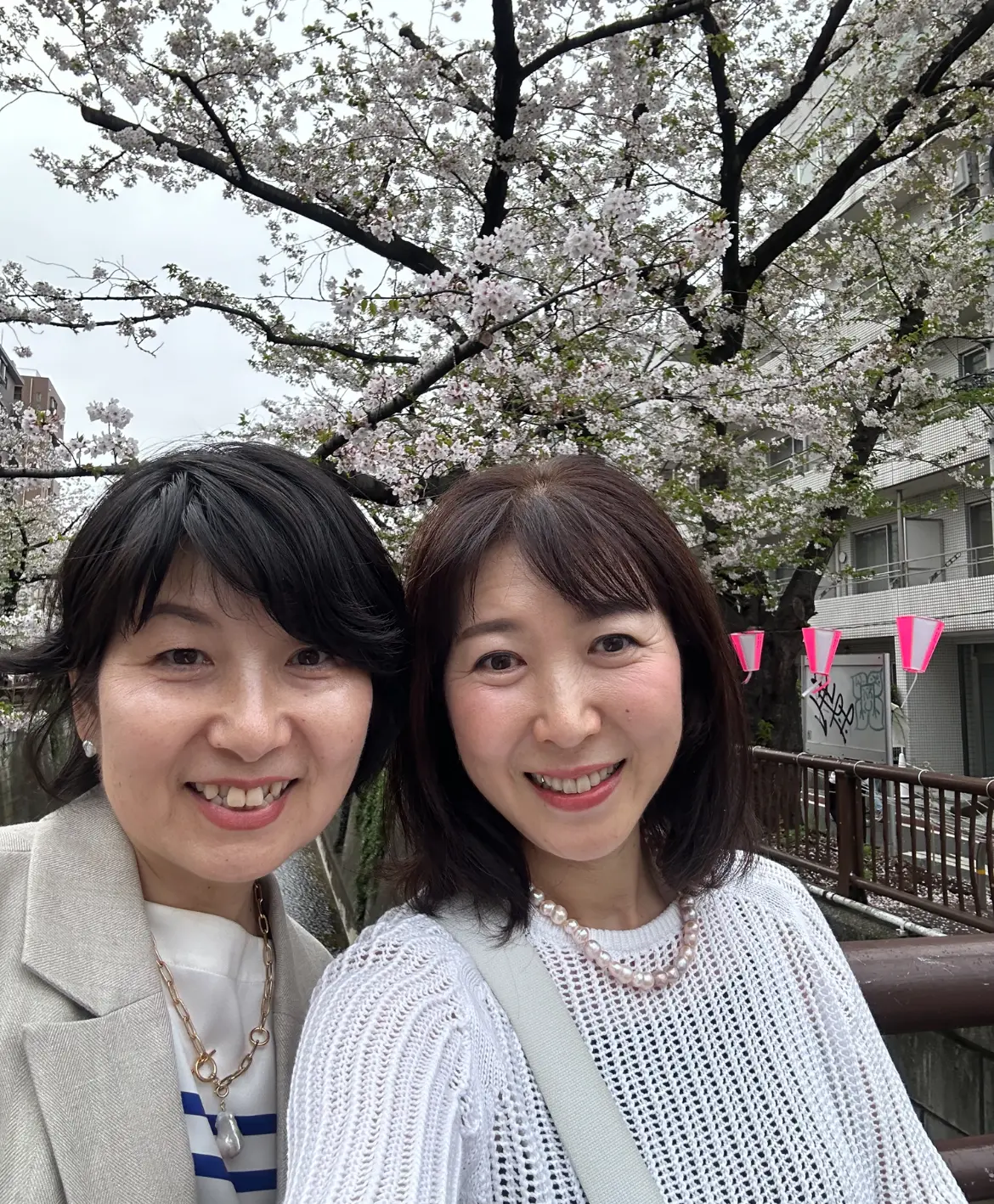 お友達とお花見