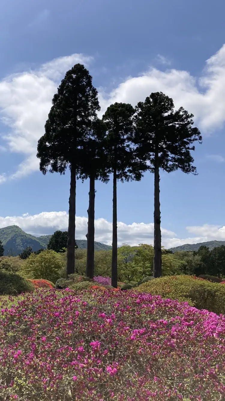 箱根・山のホテルつつじの庭園への画像_3