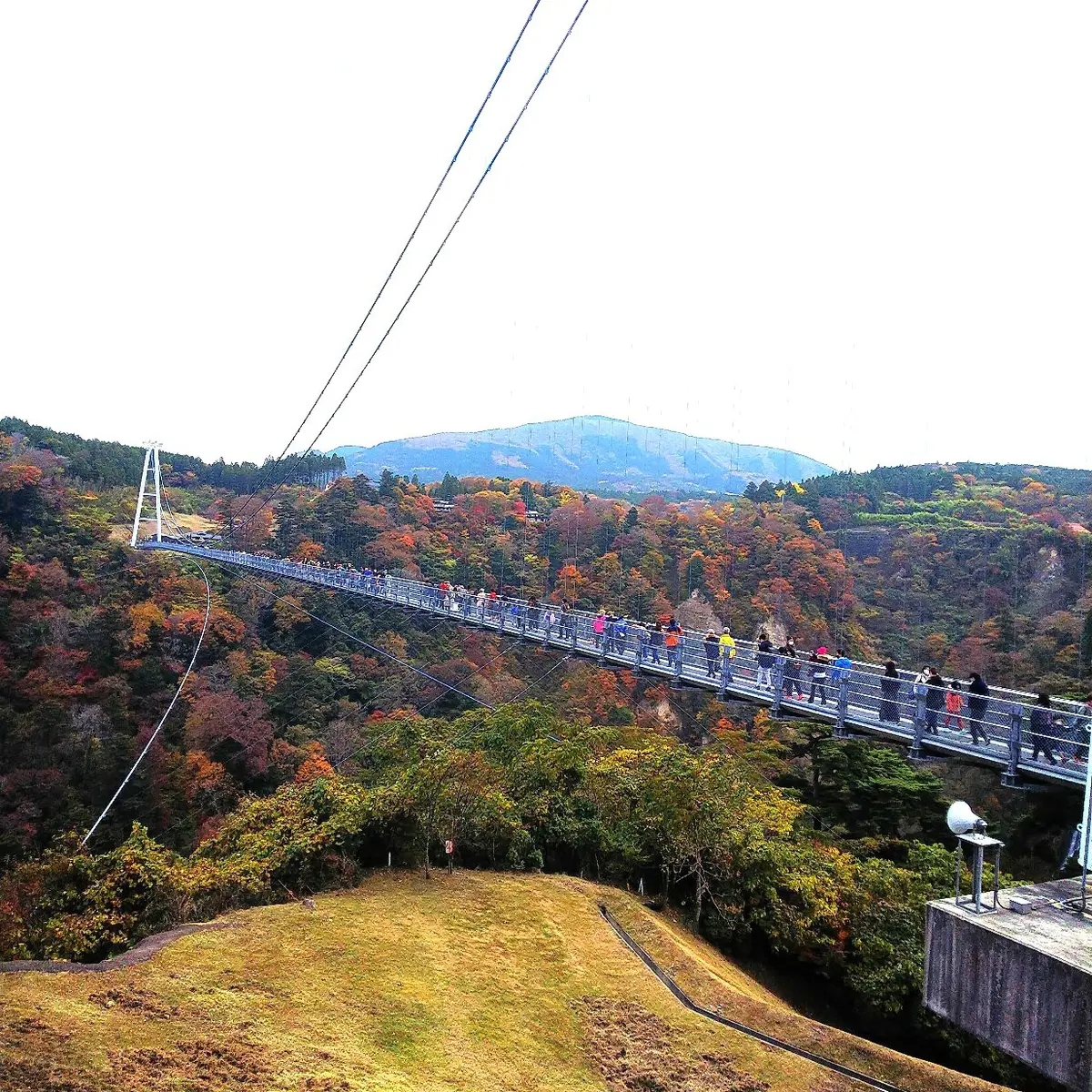 『湯布院』の画像_4