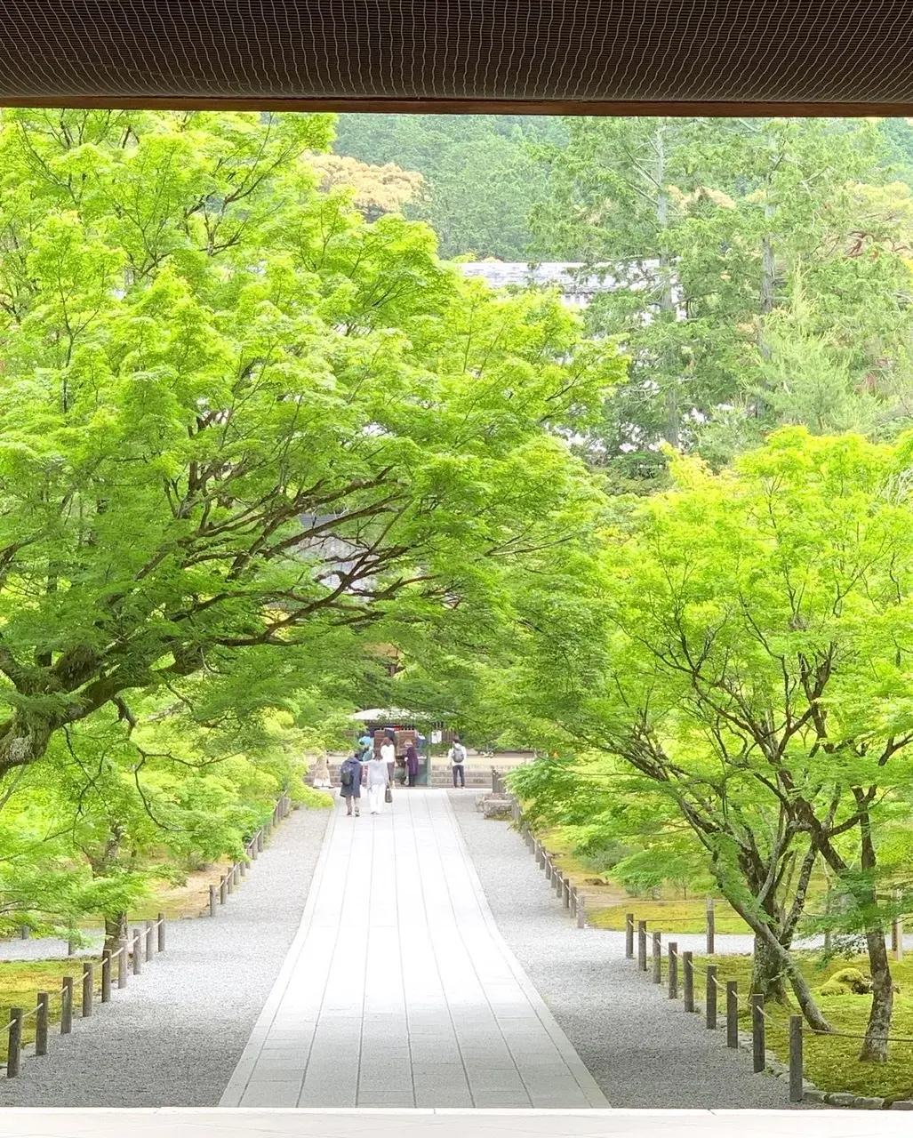 京都でノスタルジックなフォトスポットへ。の画像_2