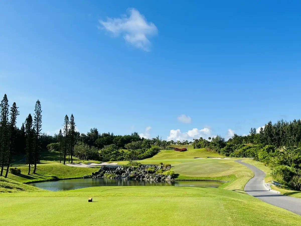 ショートホール