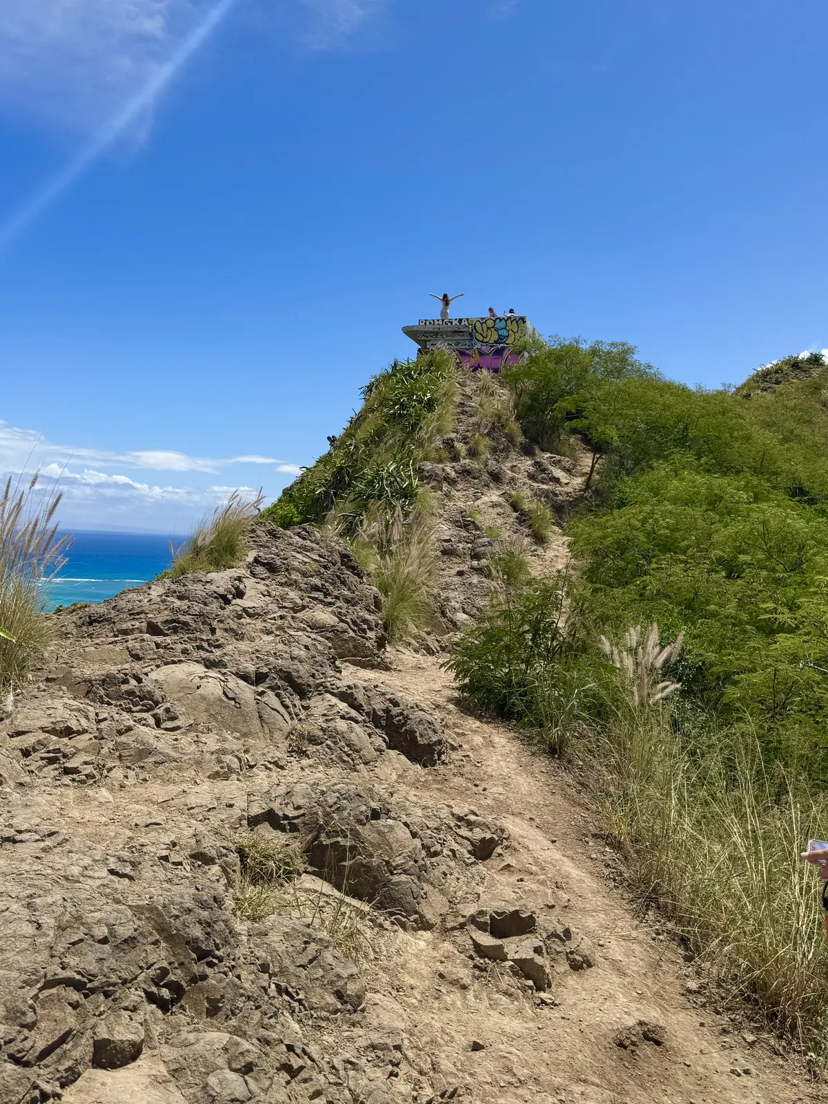 ハワイのオススメ観光スポット！KCCファの画像_11