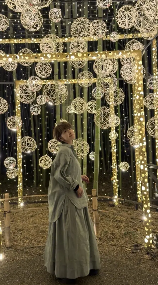 京都「嵐山月灯路」の幻想的な世界への画像_1