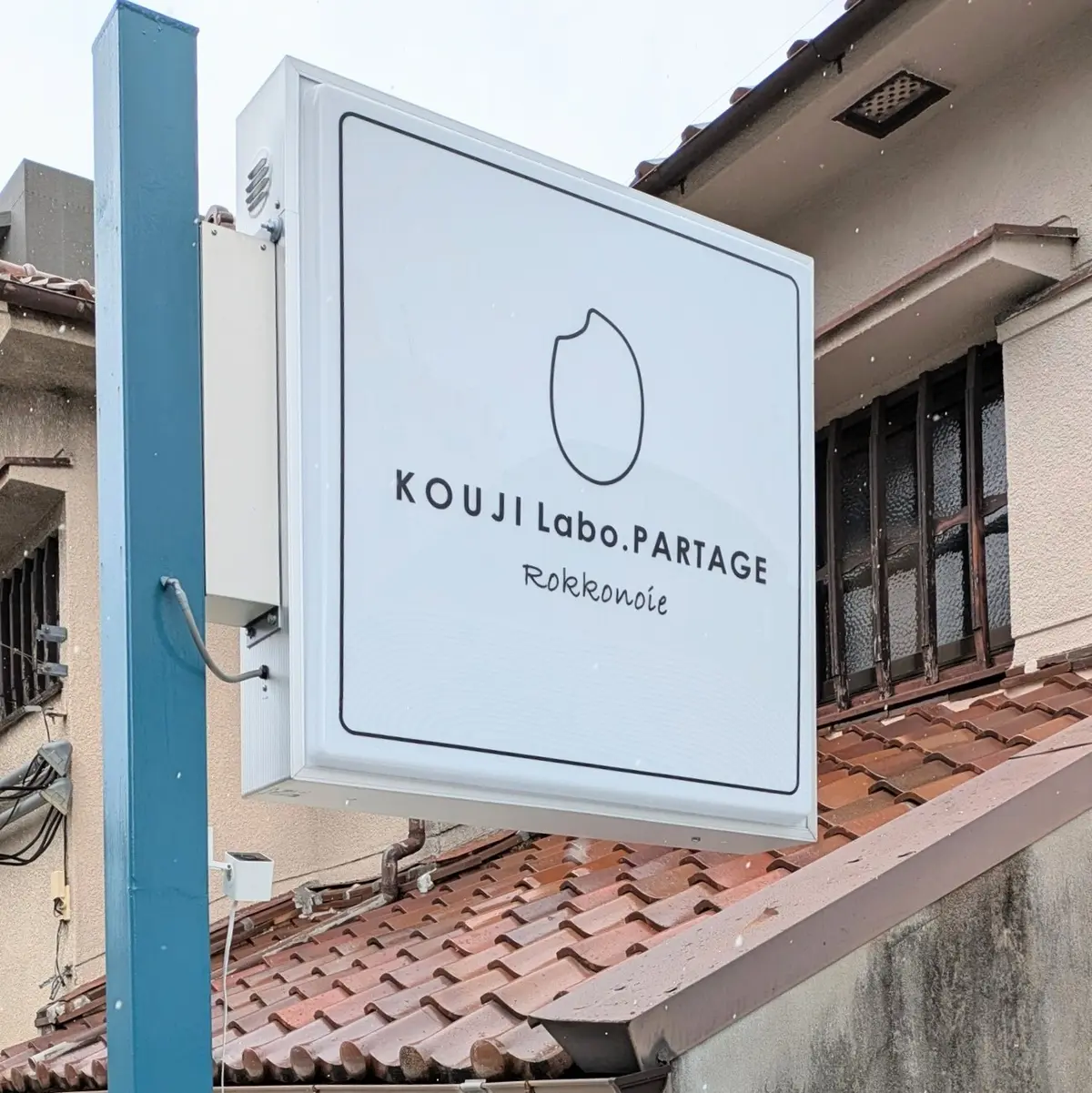 再会と素敵なランチ会の画像_1