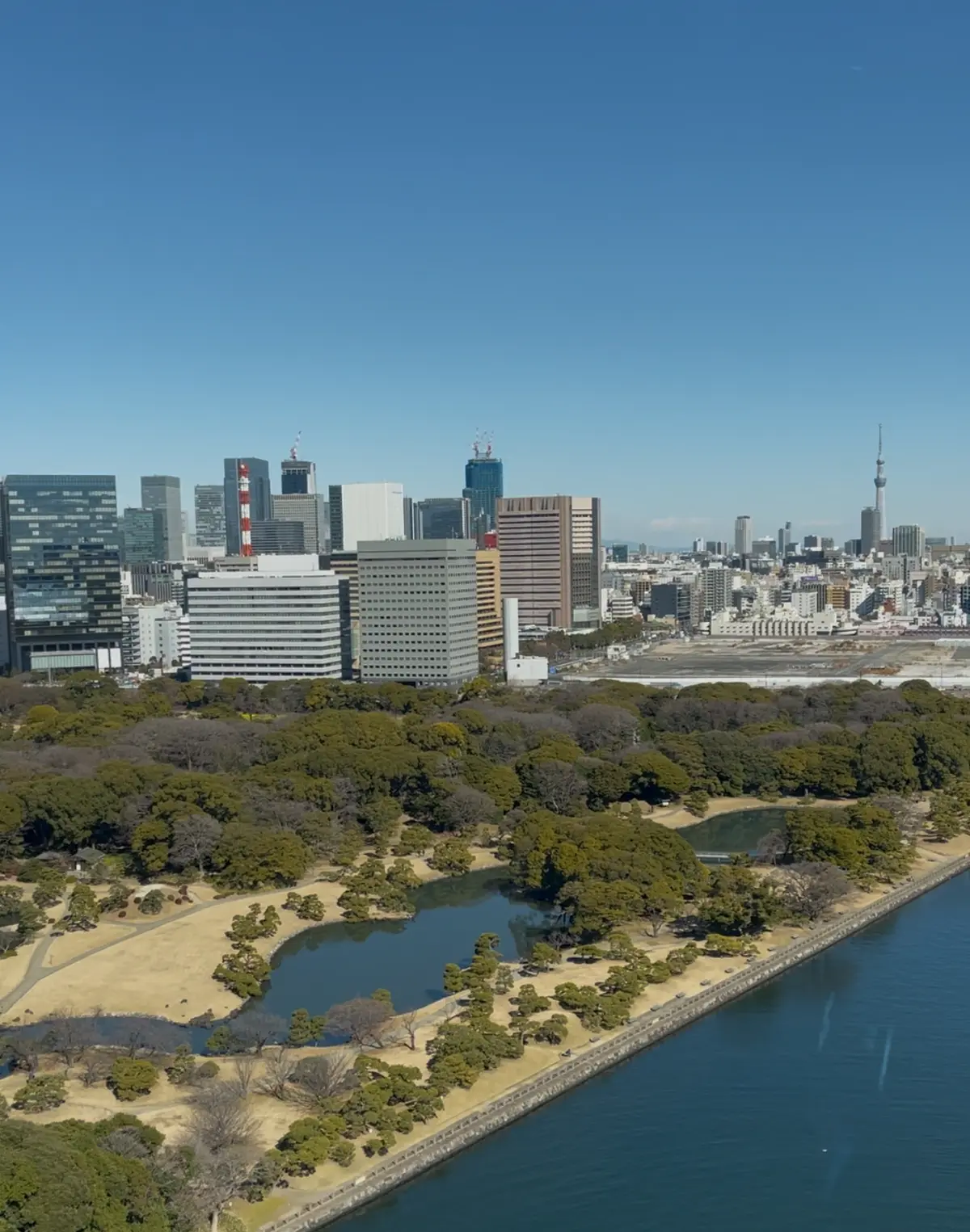 オールシーズン使えるドットスカートで華組の画像_2