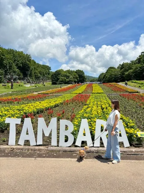 白シャツとデニムでラベンダー畑へ♪の画像_10