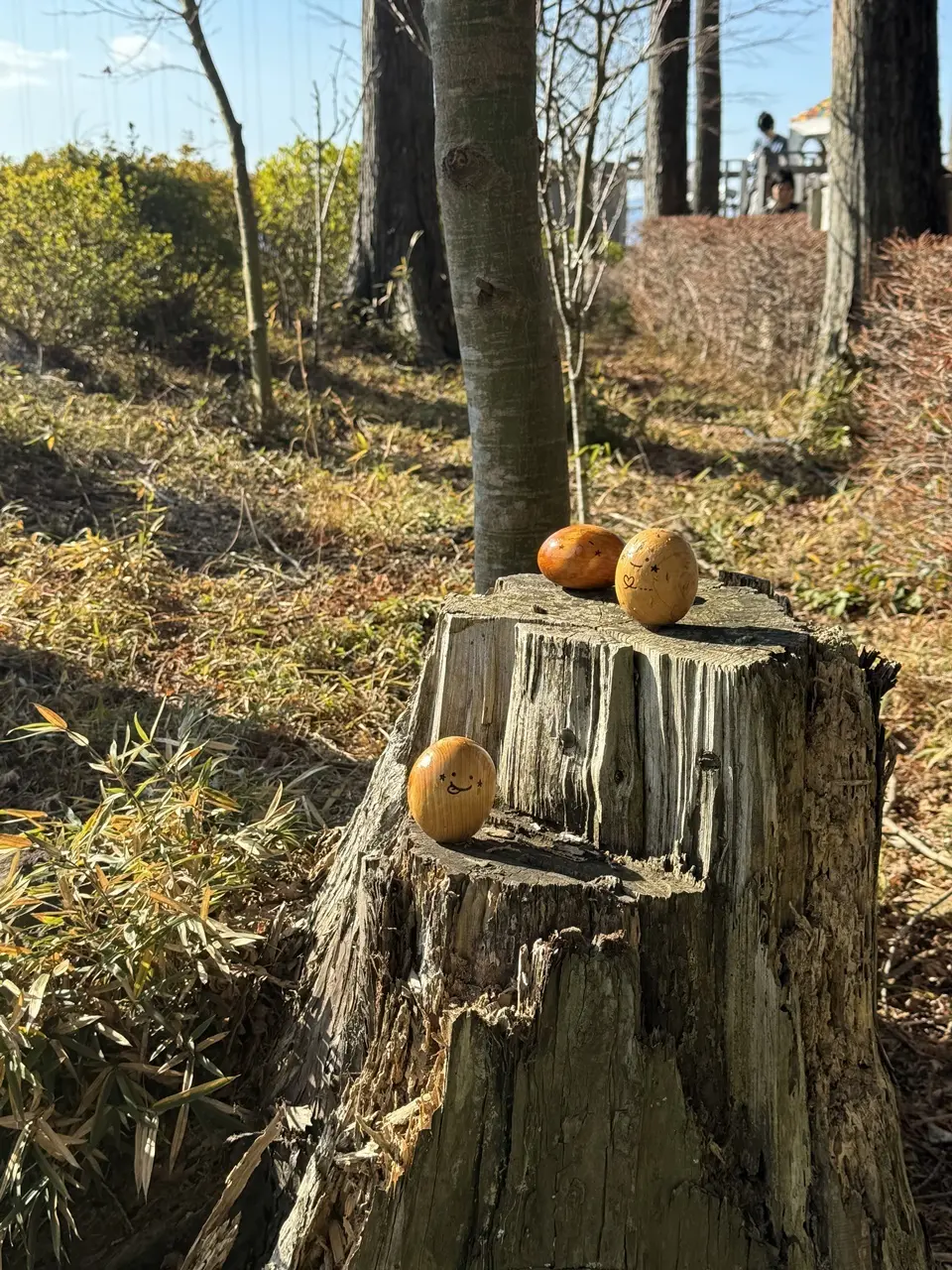 三島スカイウォーク Kicoro