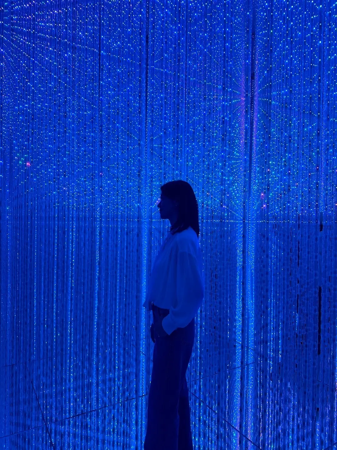 東京・麻布台ヒルズの『チームラボボーダレの画像_5