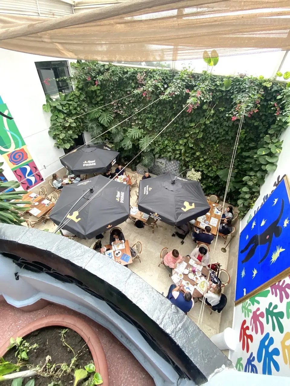 Polanco Matisse jardin