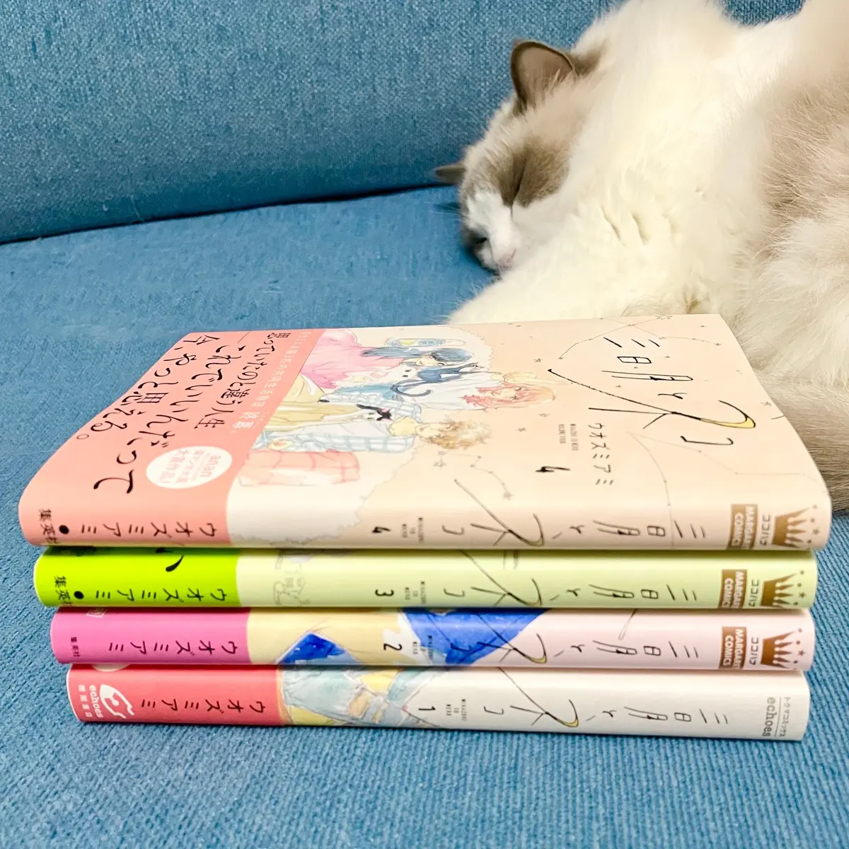 『三日月と猫』の画像_3