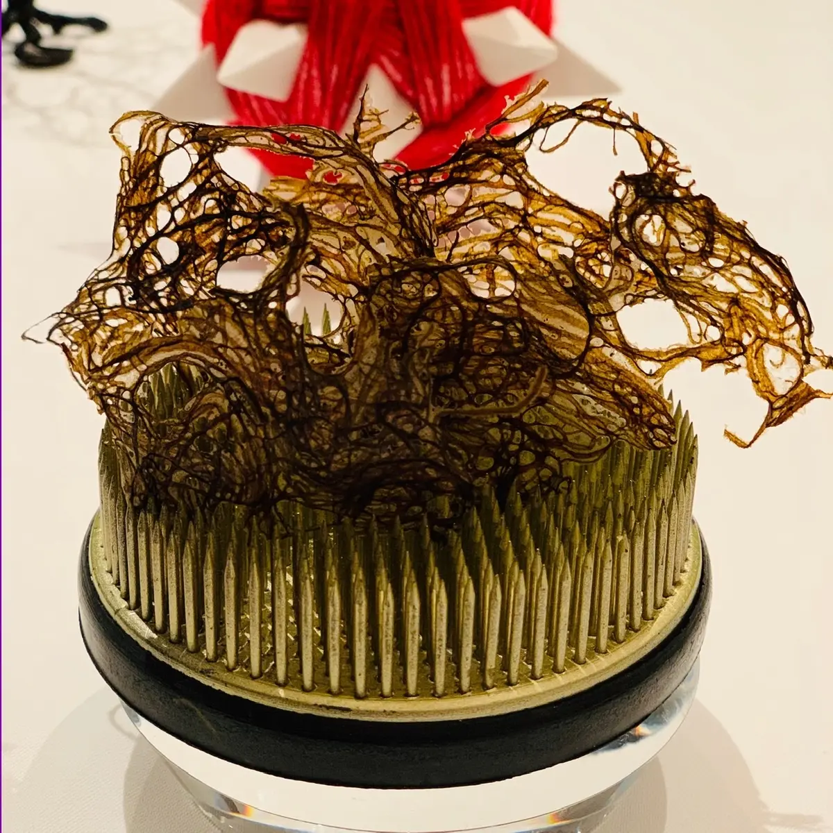 シェフの斬新さ