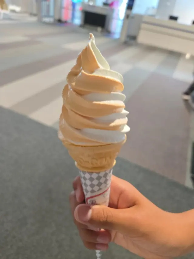 行き当たりばったり弾丸旅行～札幌その2の画像_10