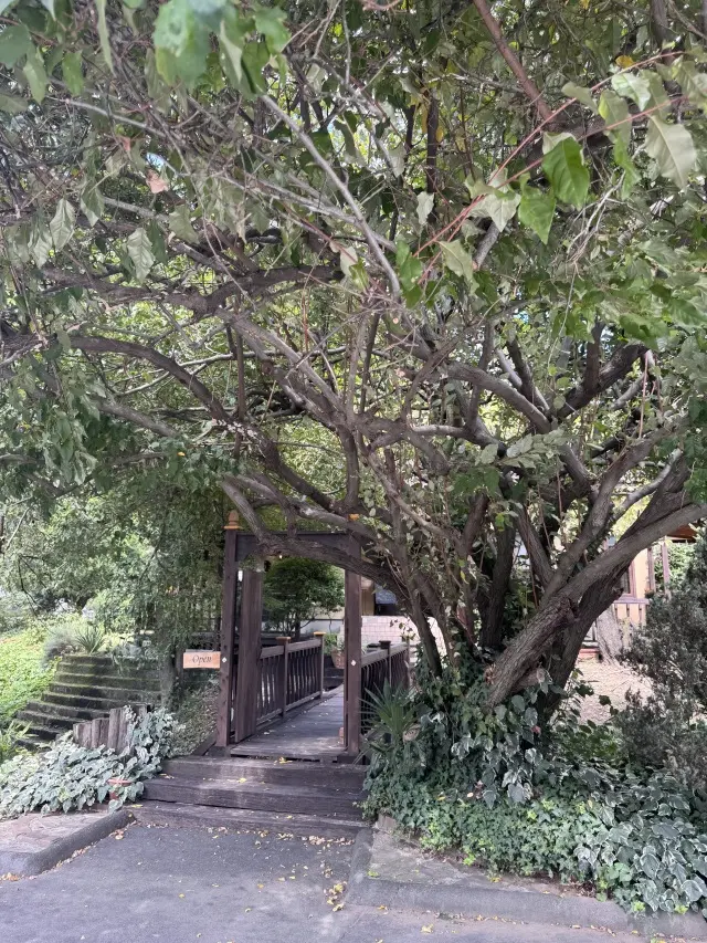 休日ランチは緑に包まれた癒しの空間で体にの画像_4