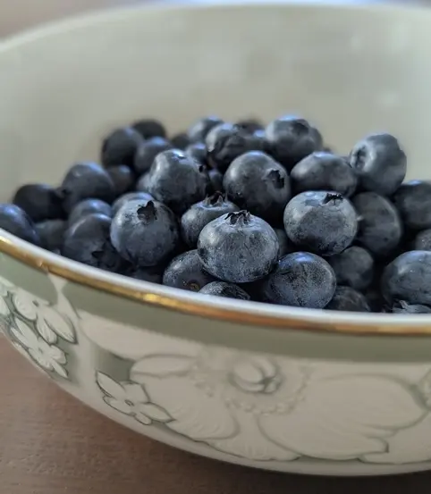 育てているブルーベリーの品種は「ブルーレイ」「ジャジー」「エリザベス」