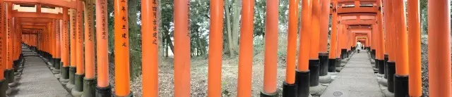 息子と奈良・京都旅行Part２の画像_5